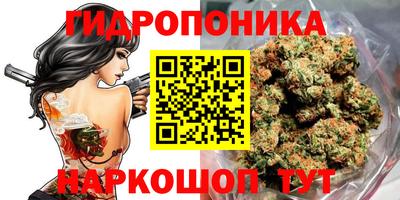 сатива Бузулук
