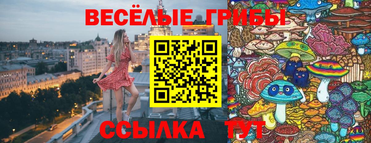 Псилоцибиновые грибы Magic Shrooms Королёв